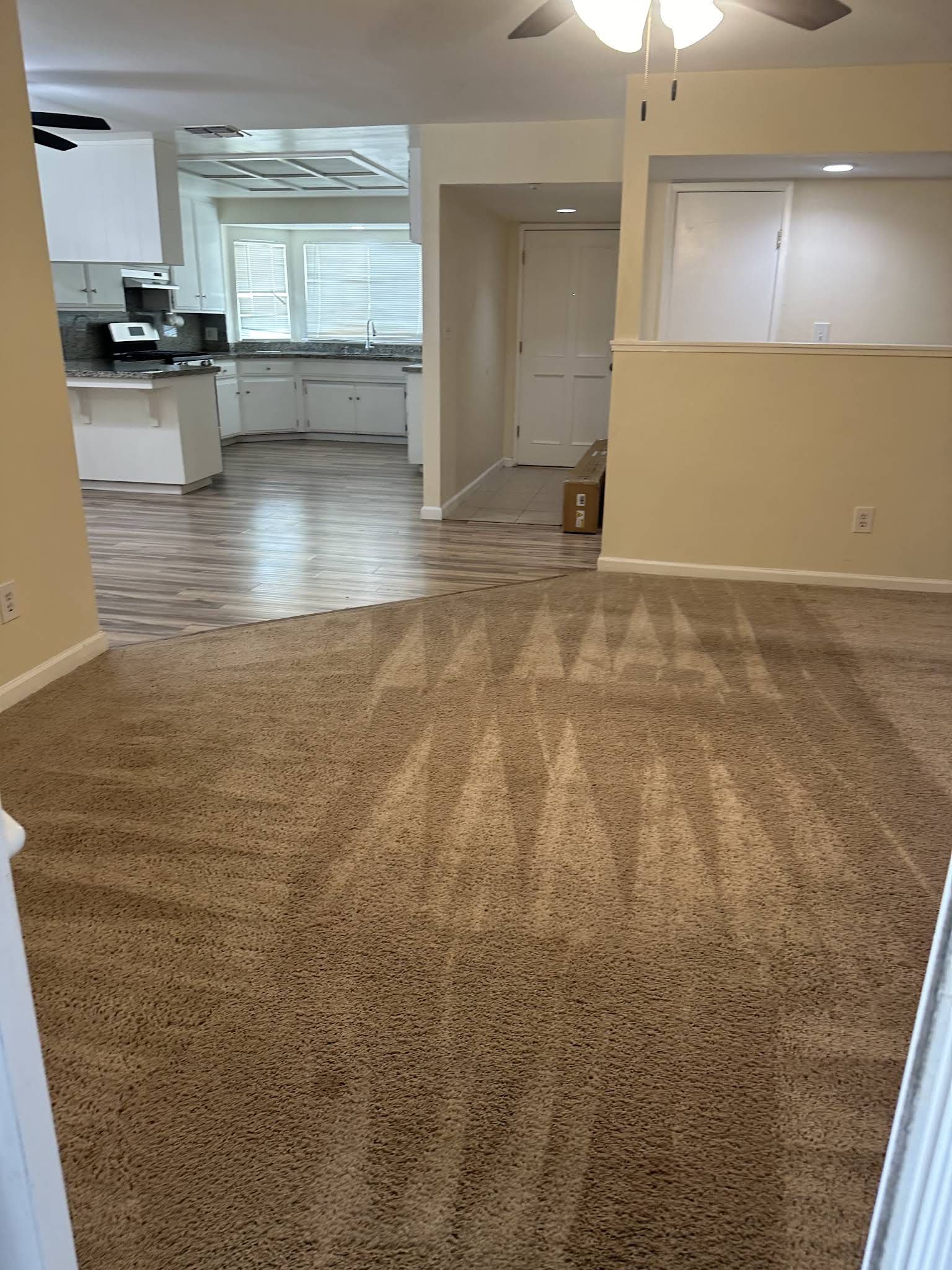 Move-Out Cleaning
